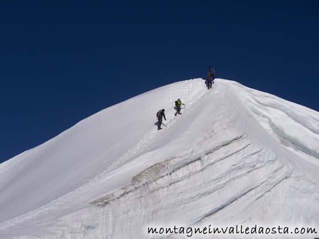 bishorn svizzera